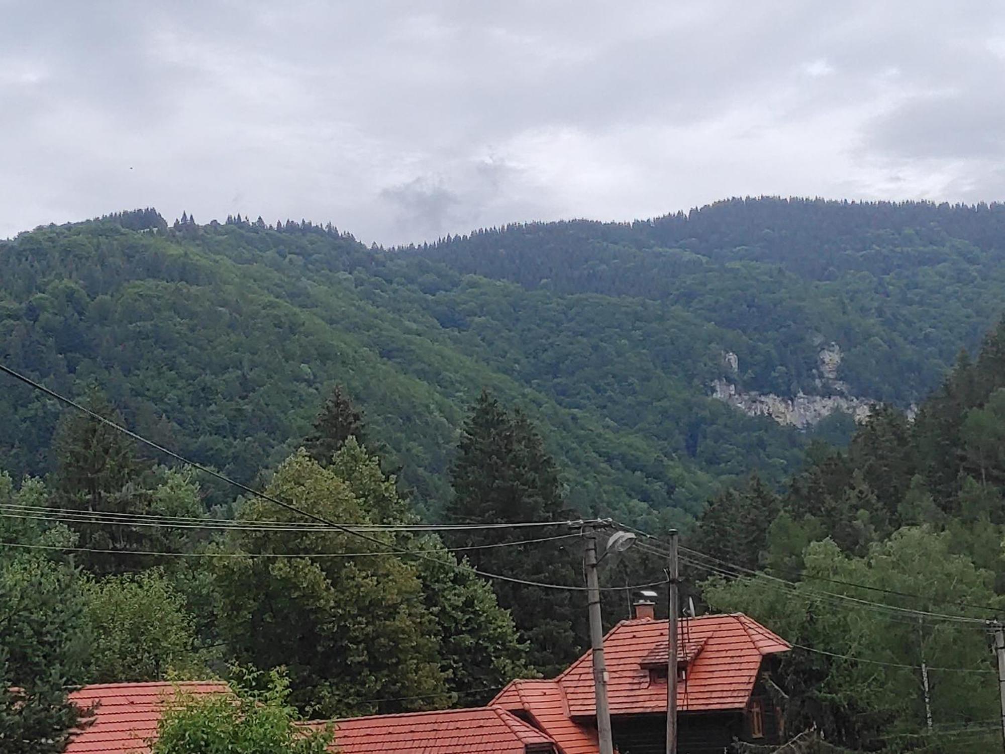 Penzion Smrekovica Ruzomberok Dış mekan fotoğraf